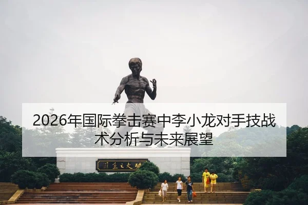 nian-guo-ji-quan-ji-sai-zhong-li-xiao-long-dui-shou-ji-zhan-shu-fen-xi-yu-wei-lai-zhan-wang-2-451.jpg