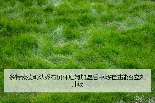 duo-te-meng-de-que-ren-qiao-bu-bei-lin-e-mu-jia-meng-hou-zhong-chang-tui-jin-neng-fou-li-ke-sheng-ji-2-101.jpg