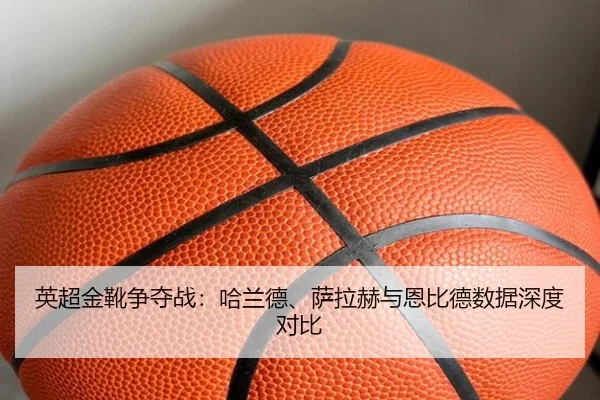 ying-chao-jin-xue-zheng-duo-zhan-ha-lan-de-sa-la-he-yu-en-bi-de-shu-ju-shen-du-dui-bi-3-160.jpg