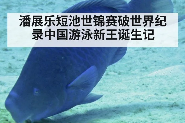 潘展乐短池世锦赛破世界纪录中国游泳新王诞生记